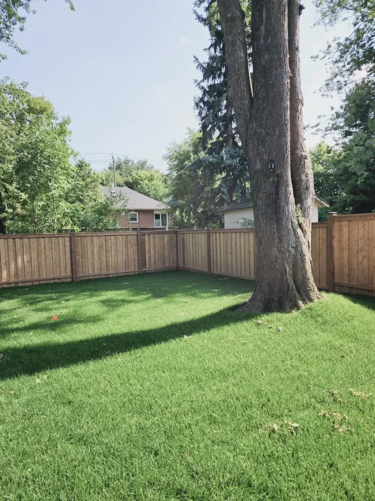Full Perimeter Fence — Backyard Enclosure