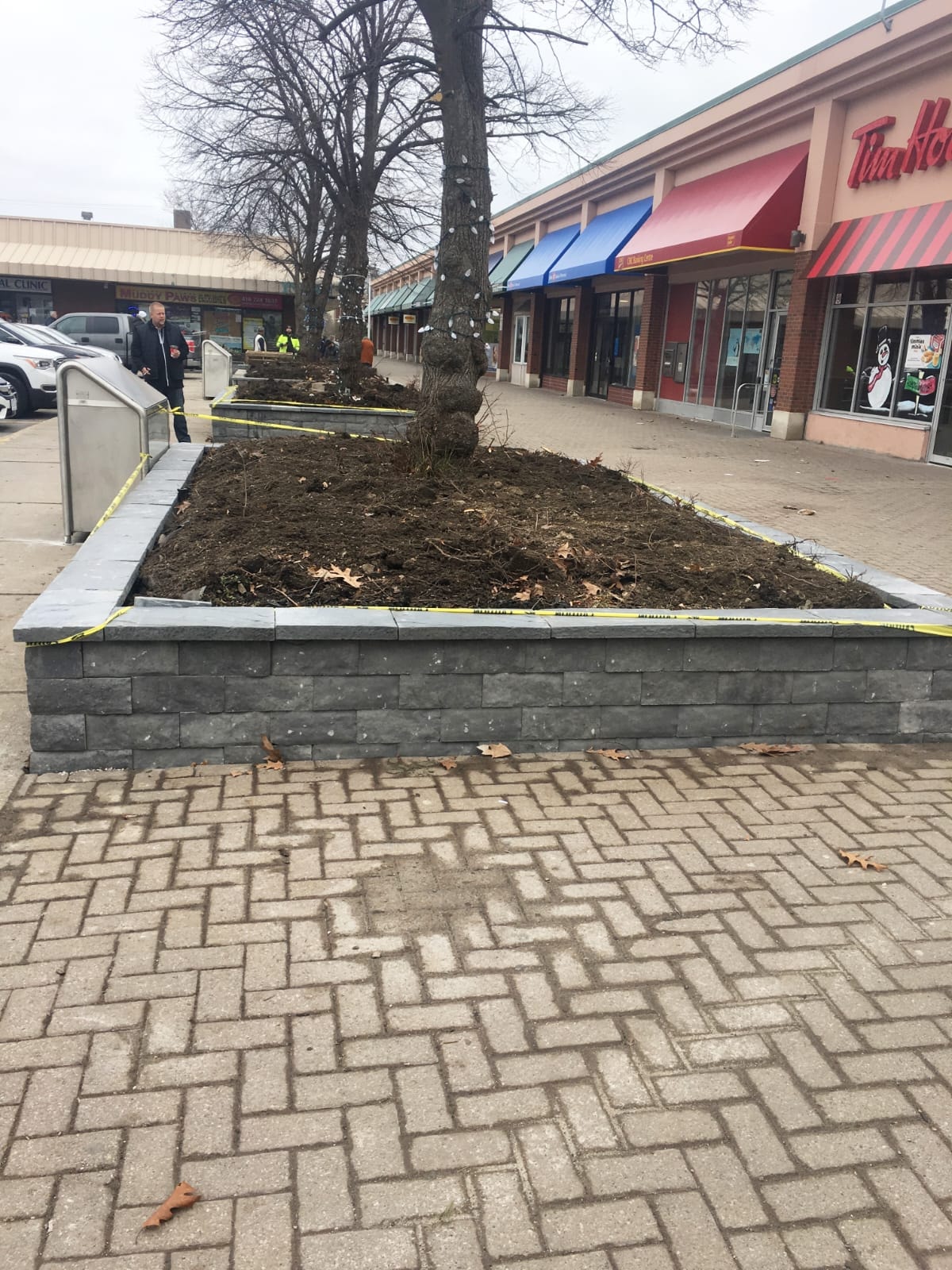 Tim Hortons Plaza — Landscaped Tree Box Installation