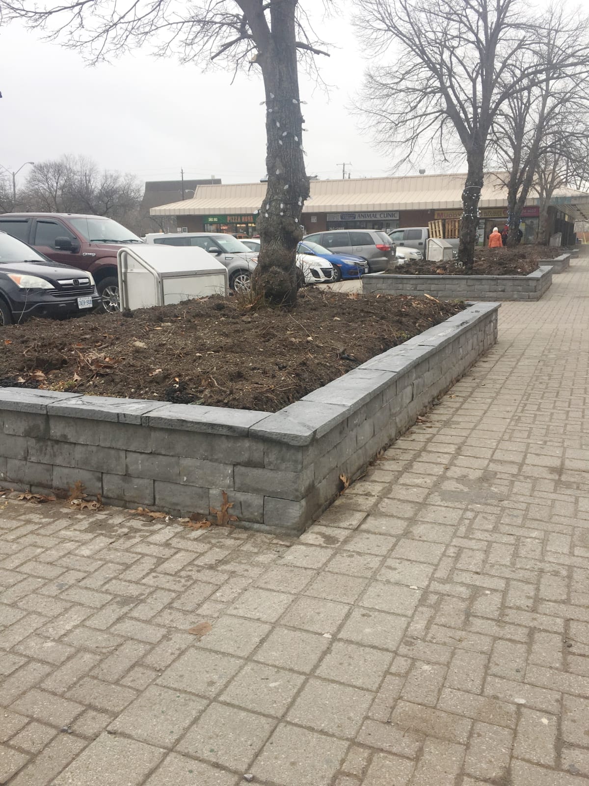 Tim Hortons Plaza — Tree Box & Walkway Installation